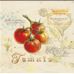 עגבניות מטוסקנה תמונות של פירות ירקות עגבניות טקסט איורים אדומות איטליה