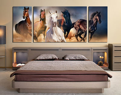 סוסים - Horsesתמונות לסלון תמונות לבית פרויקטים	
