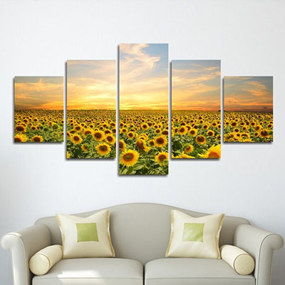 שדה חמניות  sunflowersתמונות לסלון תמונות לבית פרויקטים סט תמונות   שקיעה