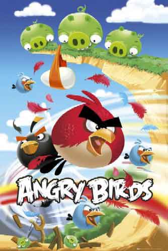 אנגרי בירדס 2Angry Birds מצוירים ציפורים כועסות חדר ילדים משחקים