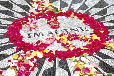 החפושיות להקה זמר the beatles אבי רוד Imagine פופ קלאסיקה