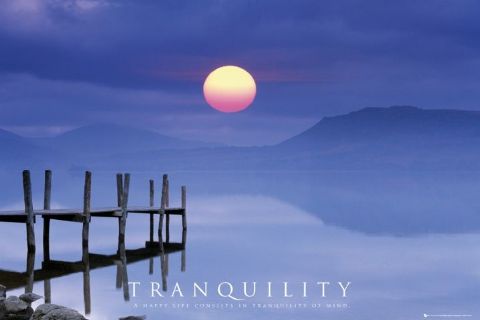 Tranquillity שלווהTranquillity שלווה