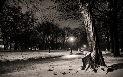 ניו יורק  - סנטרל פארק     new_york_city_central_park_footsteps  סנטרל פארק  