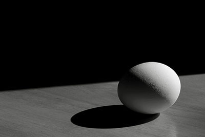 ביצה מדהימה _the-incredible-edible-egg