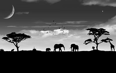 _savannah-sky-elephant-night-art-moon