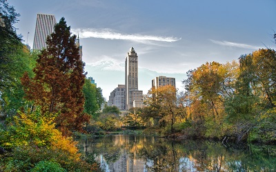 סנטרל פארק  Central  Park