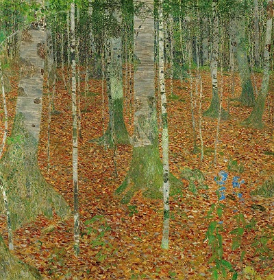 The Birch Wood