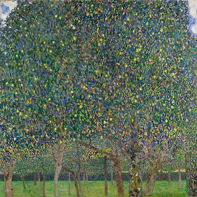 Pear Tree