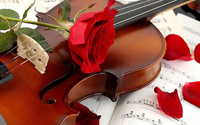 מוזיקה -  מוסיקה   _music-violin-red-rose