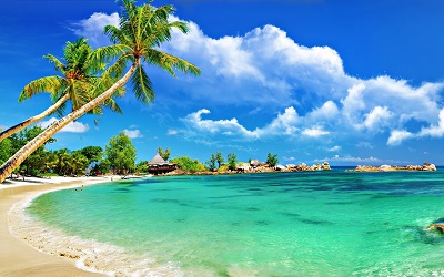 חוף טרופי  Tropical Beach