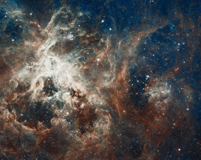 Hubble's Panoramic View of a Turbulent Star-making Region