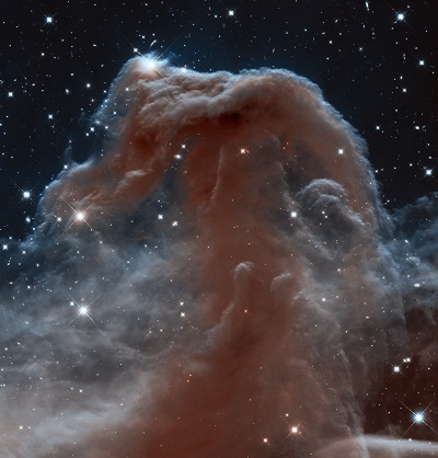 Hubble Sees a Horsehead of a Different ColorHubble Sees a Horsehead of a Different Color