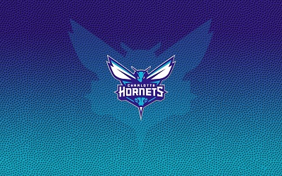 Logo - Charlotte Hornets