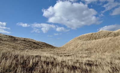 _blue_sky  שמים כחולים