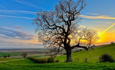 שדות יפים beautiful fieldsשדות יפים beautiful fields - שקיעה   