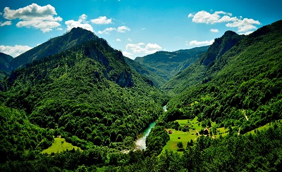 durdevica taradurdevica tara