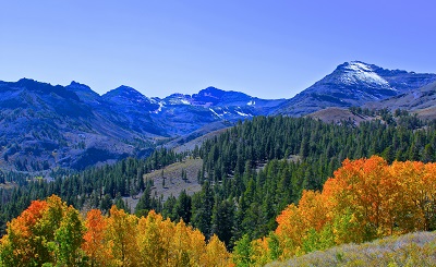 צבעי סתיו fall_colors_in_the_sierra