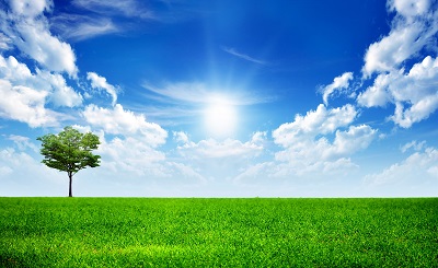 שדה ירוק  green natureשדה ירוק  green nature