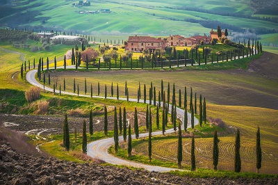 	עצים טוסקנה איטליה  Italy Tuscany