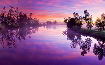  purple river