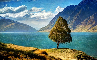 עץ ליד האגם tree by the lake