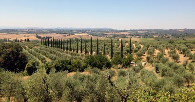  tuscany viewתמונות של שדות צילומים  כרמים