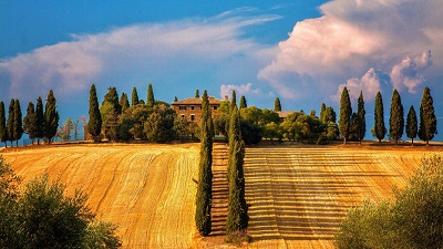  טוסקנה  עצים טוסקנה  tuscany_italy_italia_house_approach_ultra