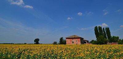  tuscany hills landscape