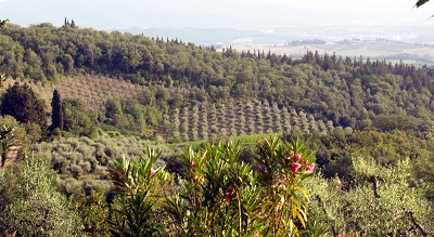 טוסקנה