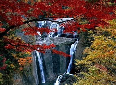 מפל באביב waterfall autumn