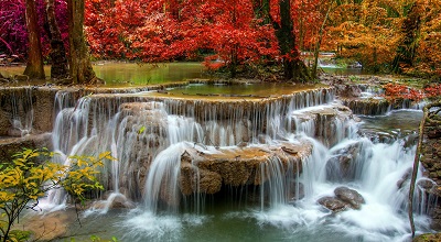 מפל ועץ אדום waterfall red trees