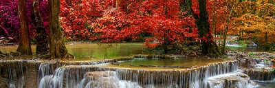 מפל עם עץ אדום waterfall_red_trees