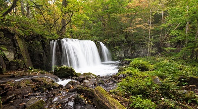  forest waterfalls forest waterfalls