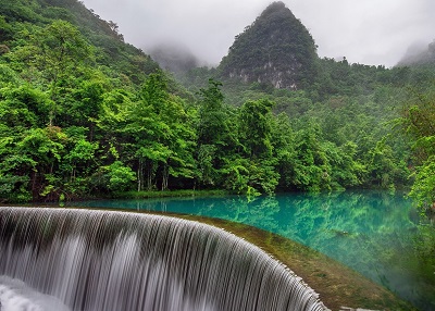  עצים	 מפל  יער קיץ forest waterfall summer forest waterfall cave