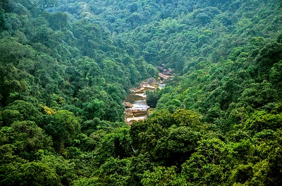 נהר בהודו -Lone_Oak_in_Saint_Bernard_Parish-Nature_Forests_Rivers_Cherrapunjee_Landscape_Meghalaya_India