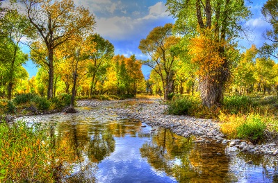 נוף  עצים small-river_trees_stones_autumn_landscape_wyoming