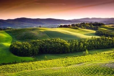  נוף כפרי   italy-tuscany-countrysideתמונות של שדות צילומים  כרמים