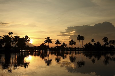 המים הסכורים - הודו -Kerala Backwater landscape