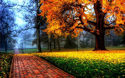 שבילשביל  _clouds_landscapes_nature_trees_multicolor_seasons_brilliant_parks_Nature_Environment_autumn