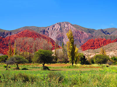 נוף ציבעוני  _mountain_village_landscape_field