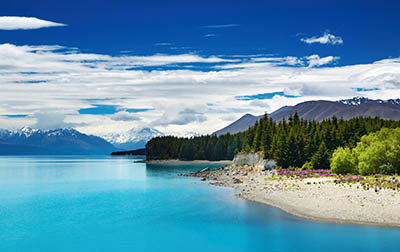  New-Zealand