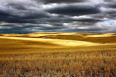 נוף  Palouse