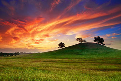 שקיעה  sunset_spring_May_sky_clouds_field_grass_trees