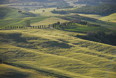 תמונות של שדות צילומים   נוף כפרי  איטליה   toscana  טוסקנה 