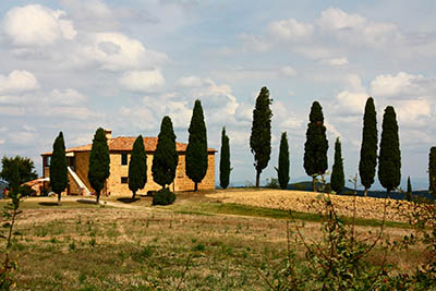 נוף כפרי  איטליה   toscana  טוסקנה