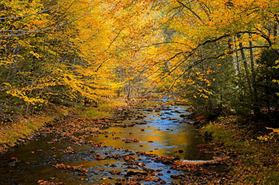 נוף כפרי   GP-VIEW-3496_autumn_trees_forest_woods_nature_fall_river