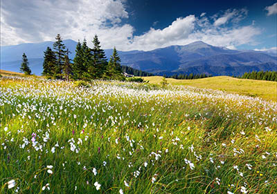  נוף  trees_flowers_mountains_clouds