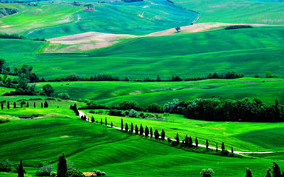 תמונות של שדות צילומים  טוסקנה איטליה fields trees italy road Tuscany