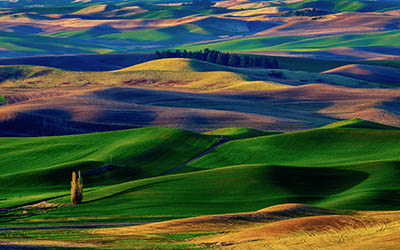  Amazing Colorful Hills 	תמונות של שדות צילומים   Amazing Colorful Hills