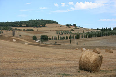 נוף כפרי	תמונות של שדות צילומים  נוף כפרי  איטליה   toscana  טוסקנה